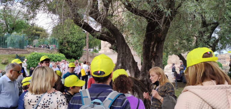 Giornata Nazionale della Cultura del Vino e dell’Olio 2022: alla scoperta degli ulivi del Parco archeologico del Colosseo​ 