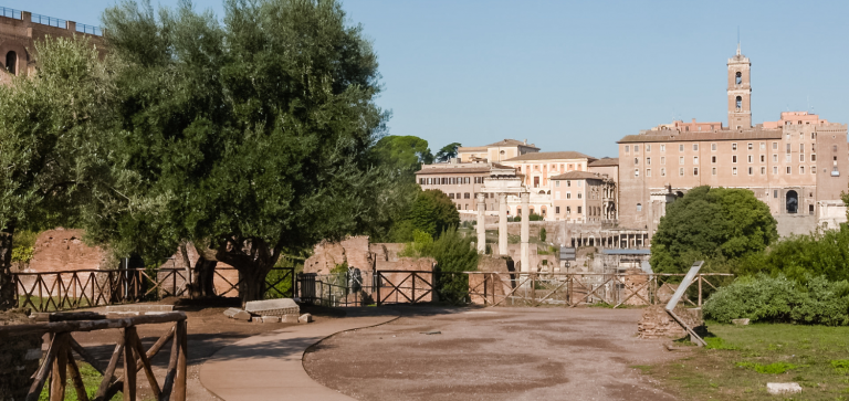 The Parco archeologico del Colosseo is open to small dogs