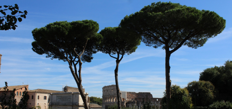 Chiusura Clivo Palatino – accesso obbligatorio da via di San Gregorio (13-14-15 gennaio 2025)