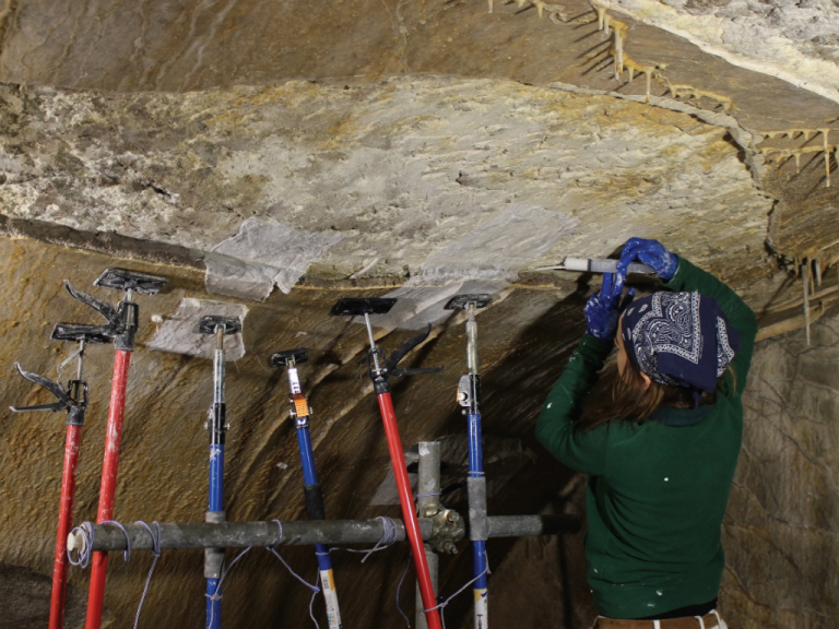 Environmental safety measures in room 64, Domus Aurea – 2025